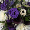 Violet Sophisticate