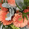 Bellini Loose Flowers Bundle