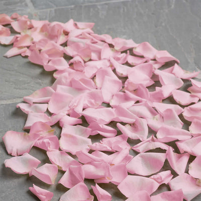 Fresh Rose Petals