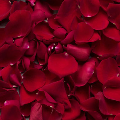 Fresh Red Rose Petals in Bulk