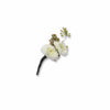 Alpine Spring Boutonniere