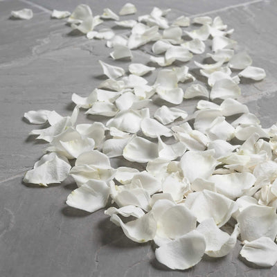 Fresh Rose Petals
