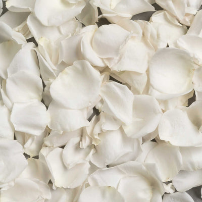 Fresh Rose Petals