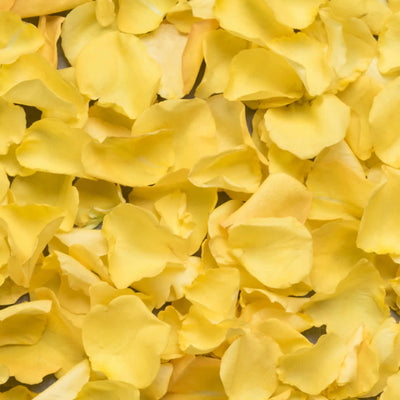 Fresh Rose Petals